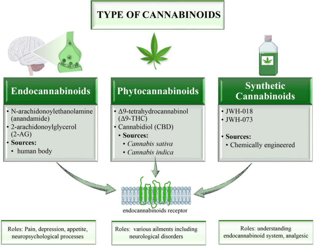 K2 Spray vs Cannabis: What’s the Real Difference?