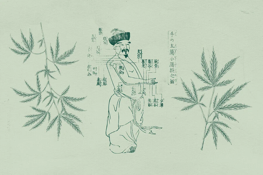 From Illegal to Prescribed:How Cannabis Entered the Hospital Ward