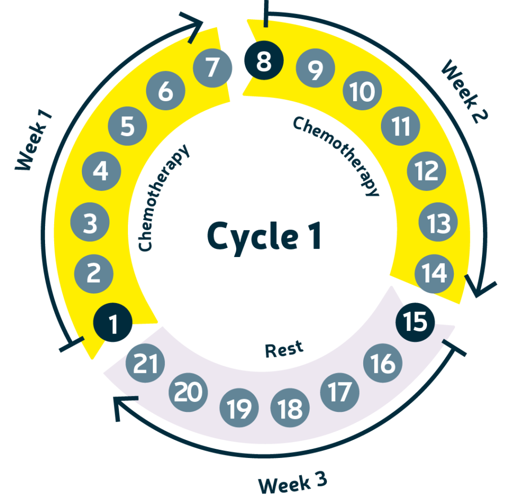 The Complete Guide to Timing and Dosing: How Anti-Nausea Medications Improve Chemotherapy Outcomes