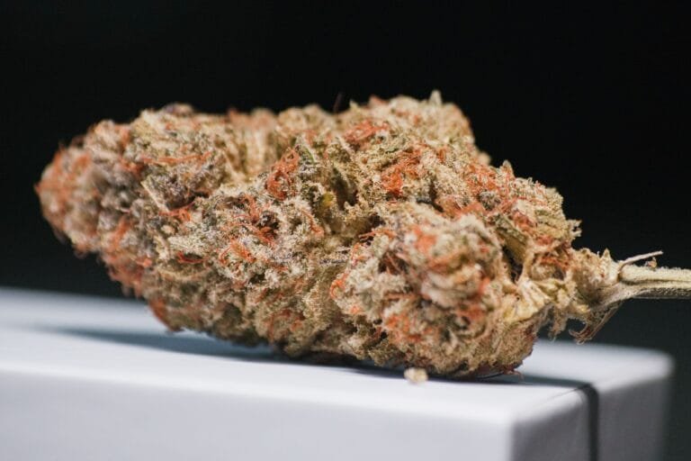 how to choose medical cannabis products based on verified strain identification
