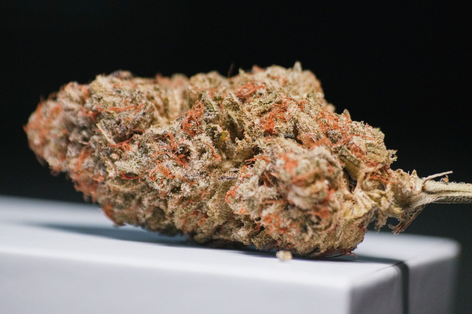 Safety, Quality, and Standardization: Why Strain Identification Matters in Medical Cannabis Products how to choose medical cannabis products based on verified strain identification