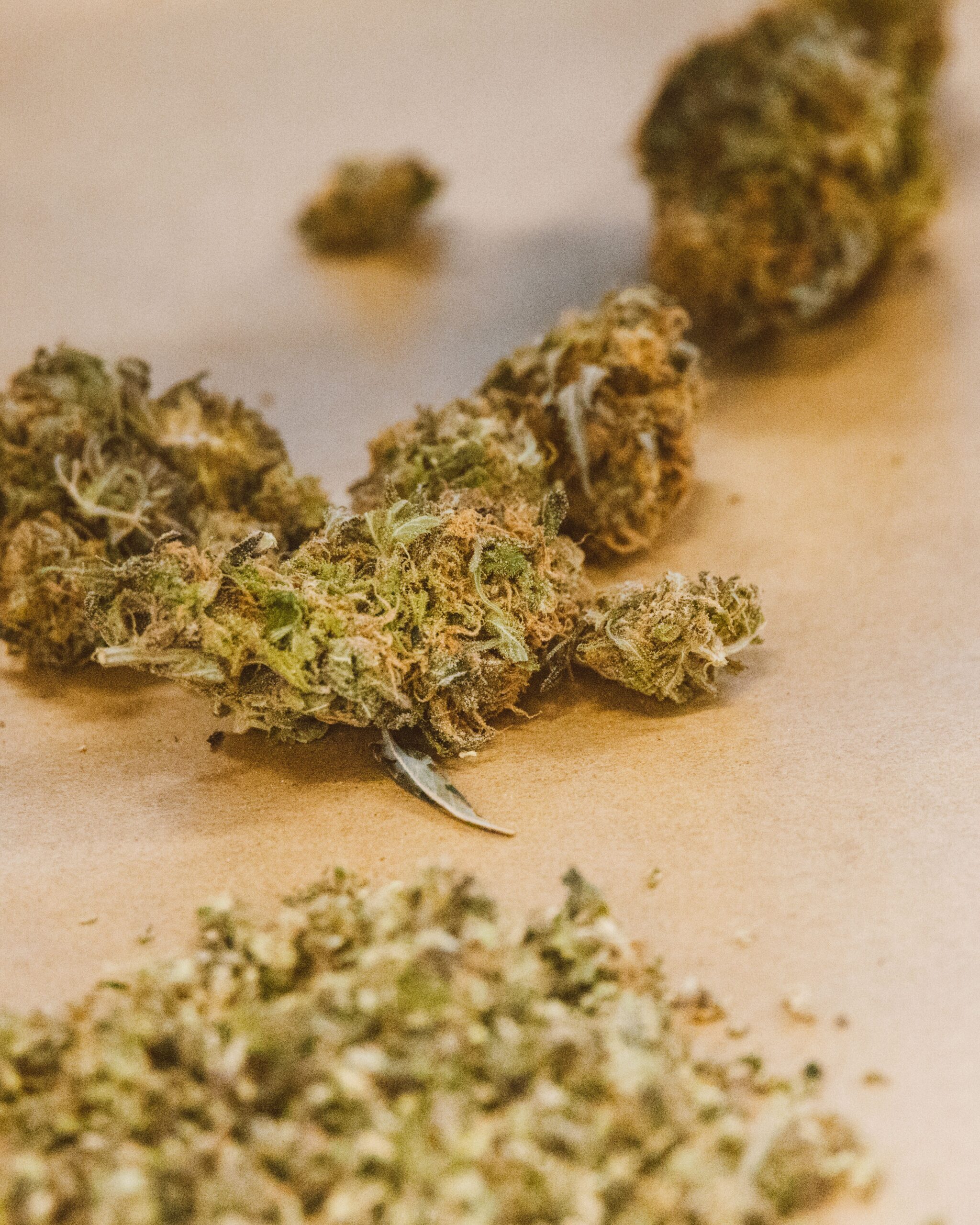 Synthetic vs. Natural Cannabinoids: How Much Stronger Are Lab-Made Compounds? are synthetic cannabinoids more dangerous than natural cannabinoids