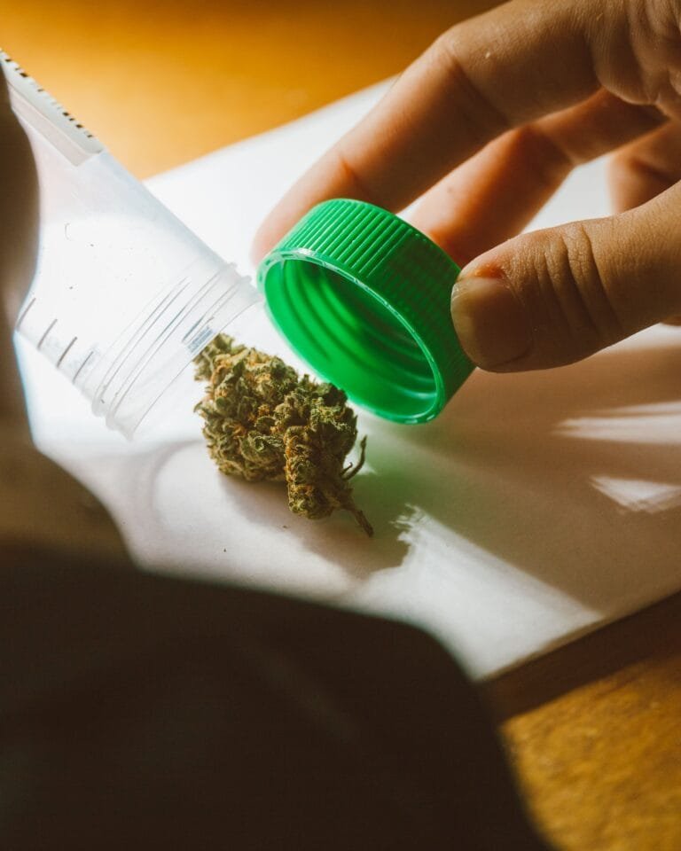 Why Doctors Are Recommending Medical Cannabis: Benefits, Risks, and Evidence evidence based medical cannabis treatment for anxiety