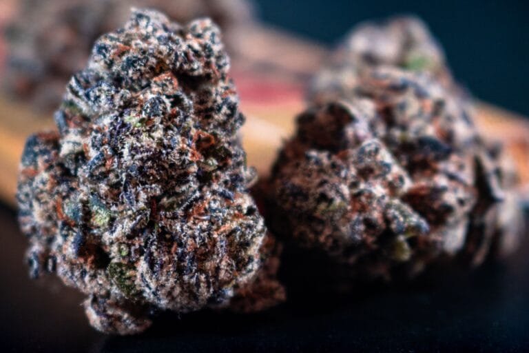 best Canadian dispensary recommendations for Gumbo and calm strains