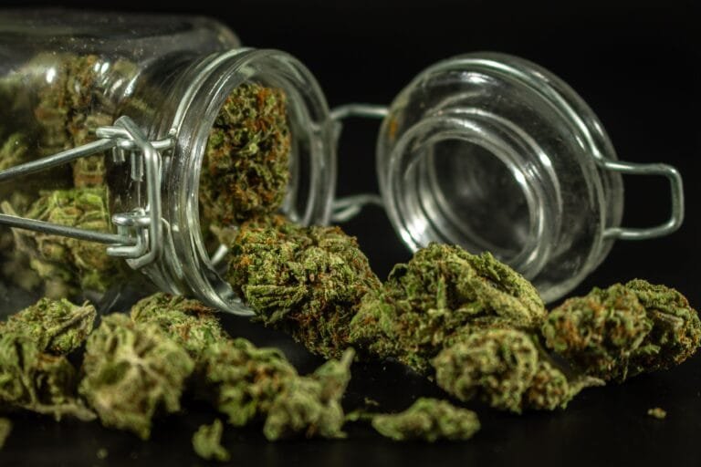 best cannabis strains for anxiety and stress relief