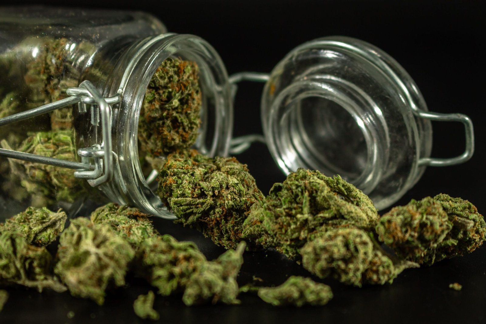Medicinal or Recreational? How Different Cannabis Strains Target Pain, Anxiety, and Pleasure best cannabis strains for anxiety and stress relief