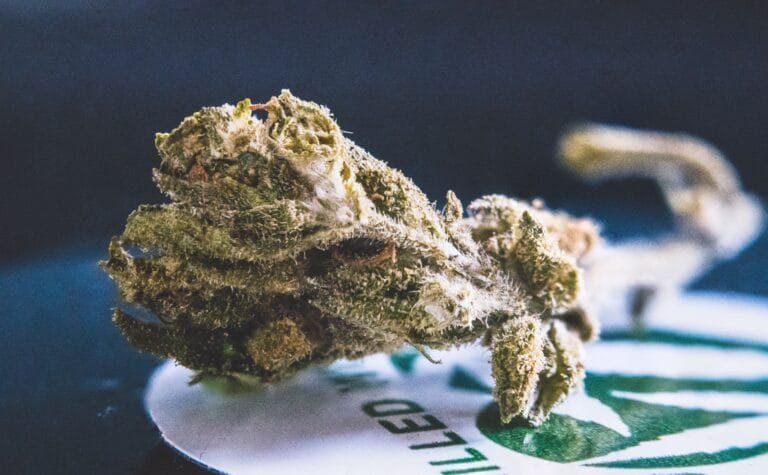 best cannabis strains for making soothing gumbo