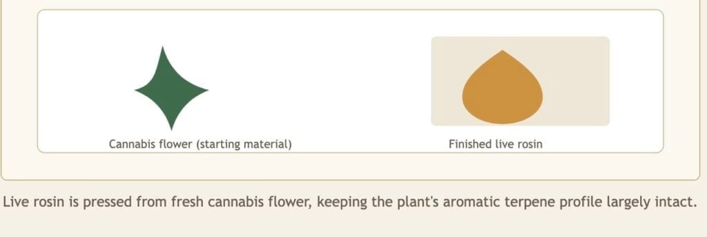 What Is Live Rosin Used For? A Complete Guide to Uses, Effects & Methods
