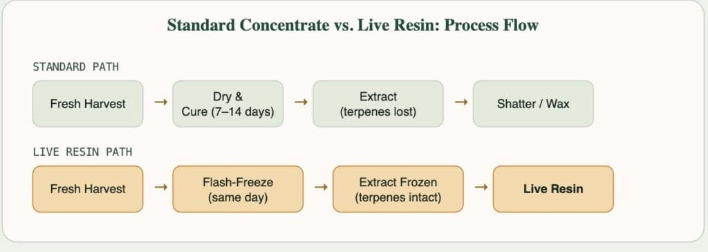 Does Live Resin Get You Really High? The Real Reason Live Resin Outperforms Standard Concentrates