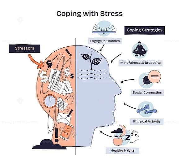 Why people use synthetic cannabinoids in Europe for stress relief and escape