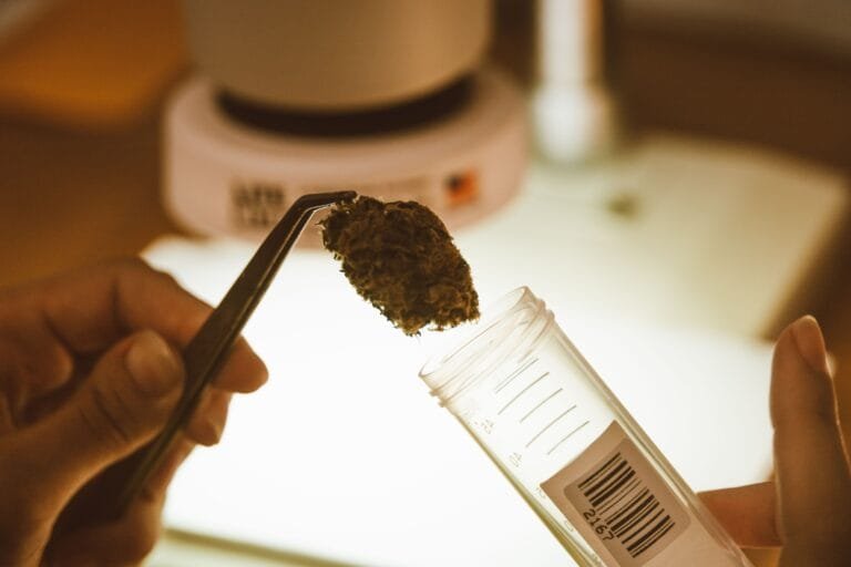 Why Stressed Users Choose Synthetic Cannabinoids: Risks and Alternatives | Full Guide why stressed users choose synthetic cannabinoids risks and alternatives