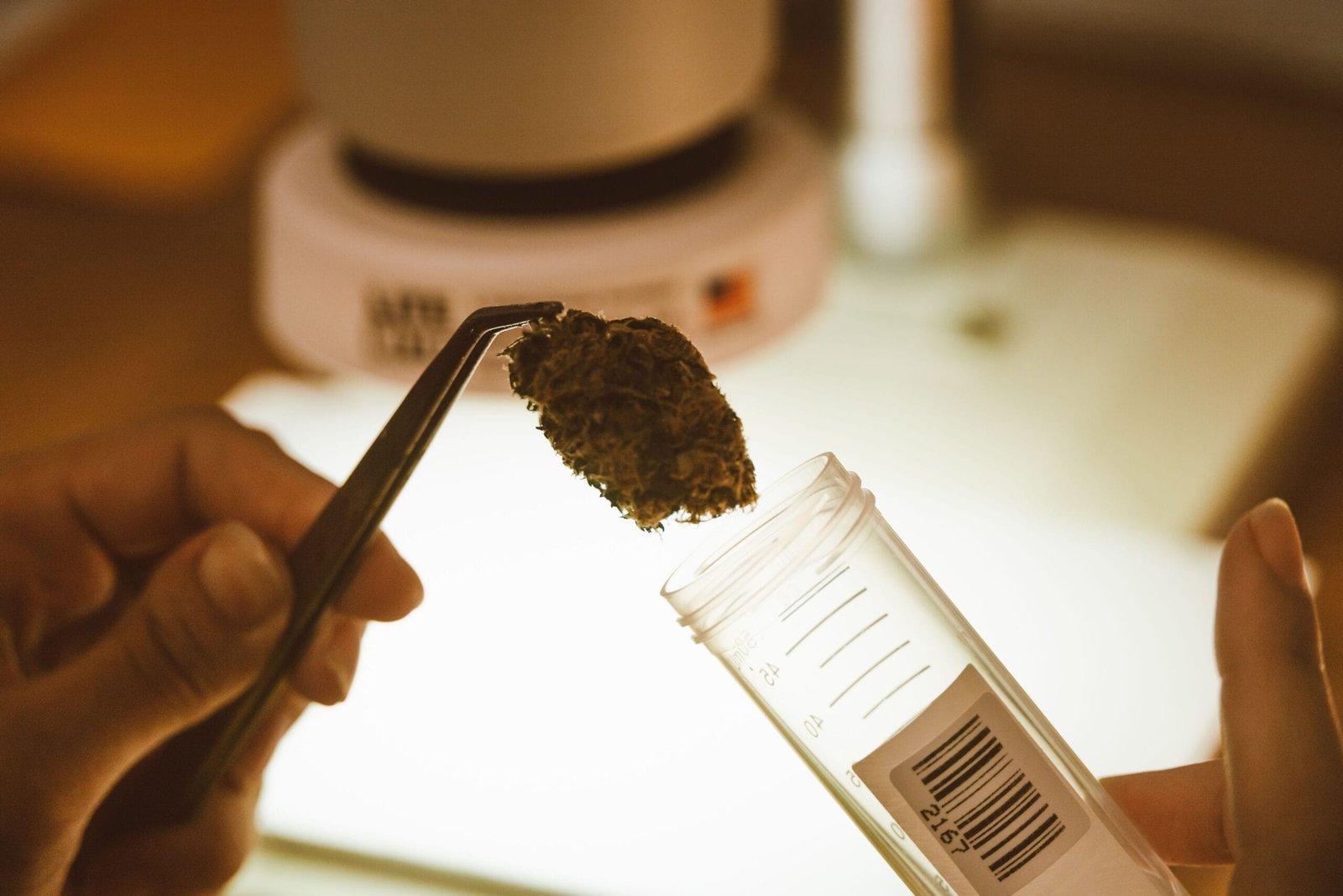 why stressed users choose synthetic cannabinoids risks and alternatives