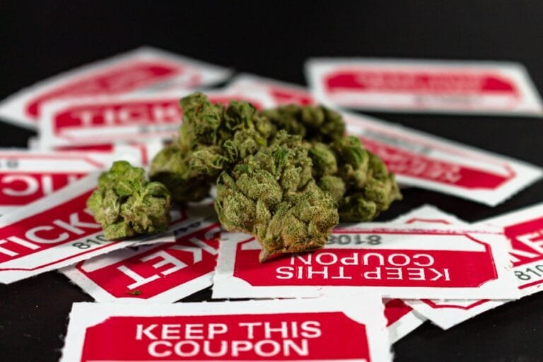 Why Some Europeans Use Synthetic Cannabinoids Instead of Natural Cannabis reasons Europeans choose synthetic cannabinoids over natural cannabis