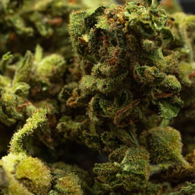 why people use synthetic cannabinoids for mental escape and coping