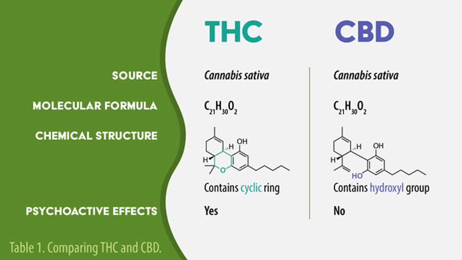 When Weed Helps Depression: Cannabinoids and Sadness — When Weed Helps and When It Hurts