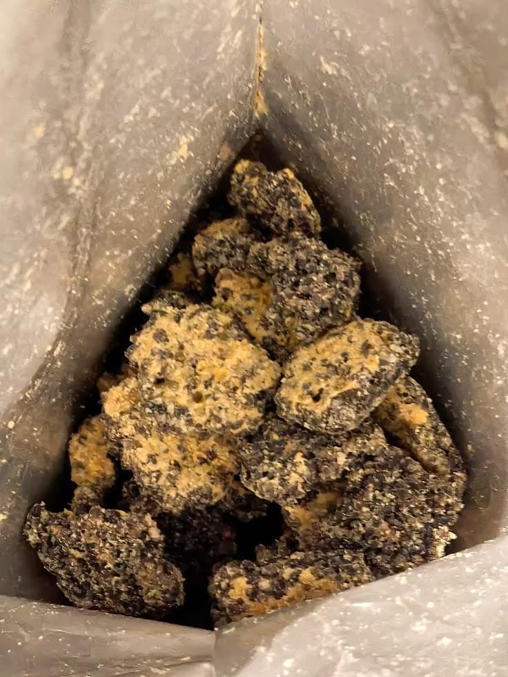 What Does Gumbo Strain Taste Like? Flavor, Aroma & Terpenes Explained what does Gumbo strain taste like?
