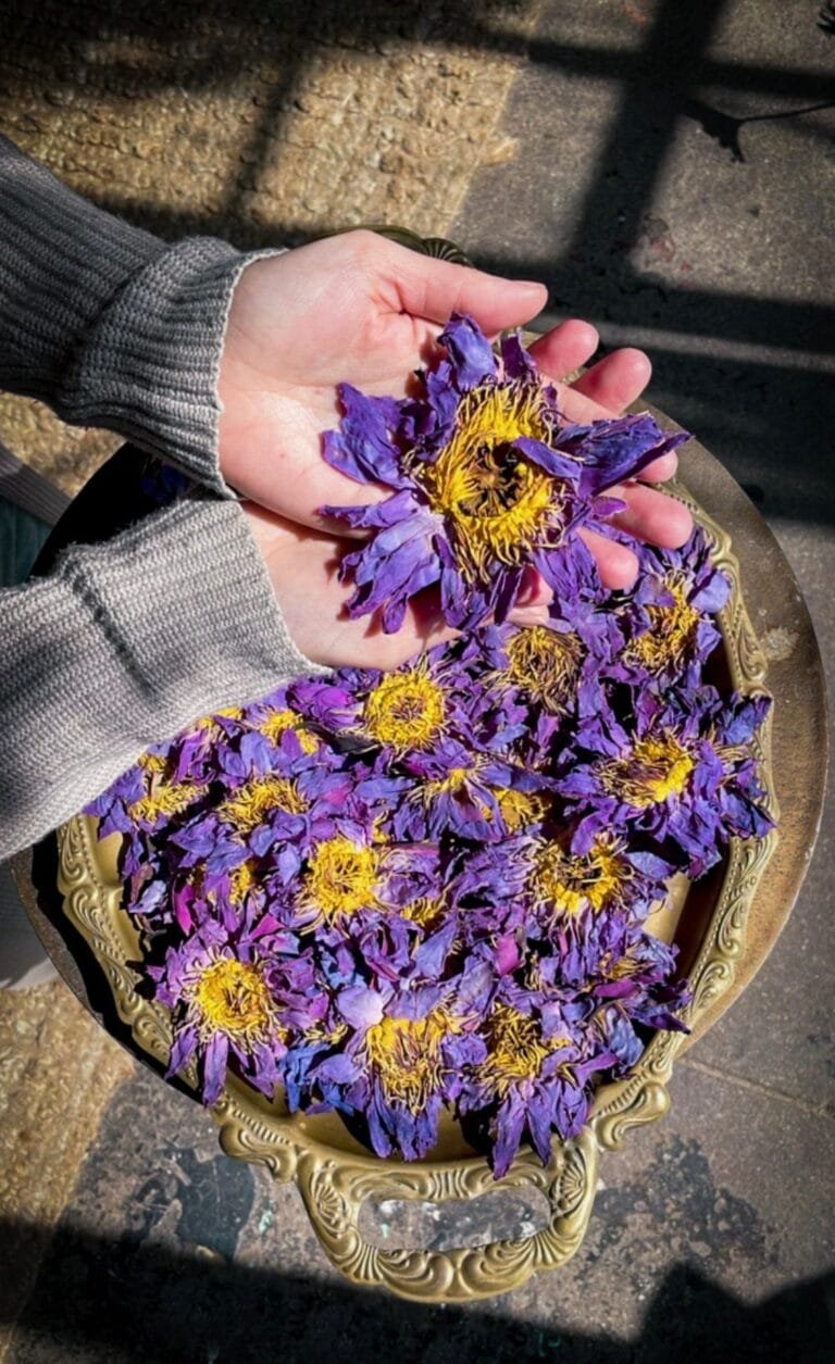 where can i buy Blue Lotus Herbal Incense