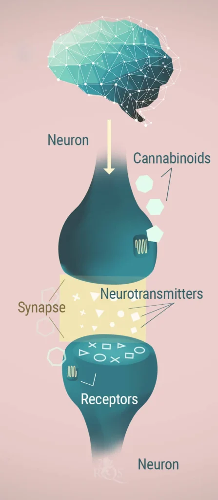 What is K2 spice spray known for in terms of its psychoactive effects?