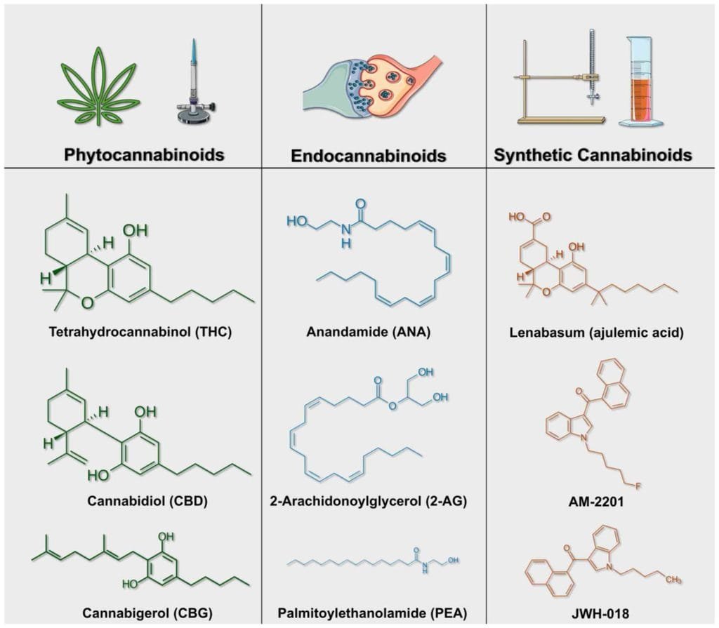 What is K2 spice spray known for in terms of its psychoactive effects?