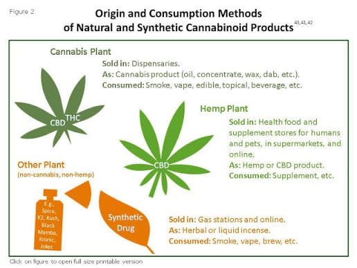 Are Synthetic Cannabinoids Legal in Liechtenstein? Synthetic Cannabinoids vs Cannabis Explained