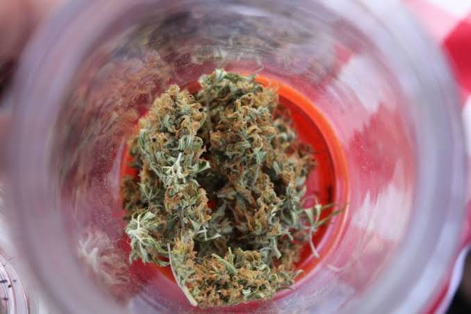 Does Synthetic Marijuana Affect Libido? Facts Men and Women Should Know does synthetic marijuana affect libido