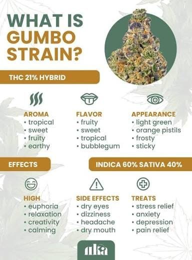 Gumbo Strain Guide: Genetics, Aroma, Appearance, and Is Gumbo Strain Good for Sleep?