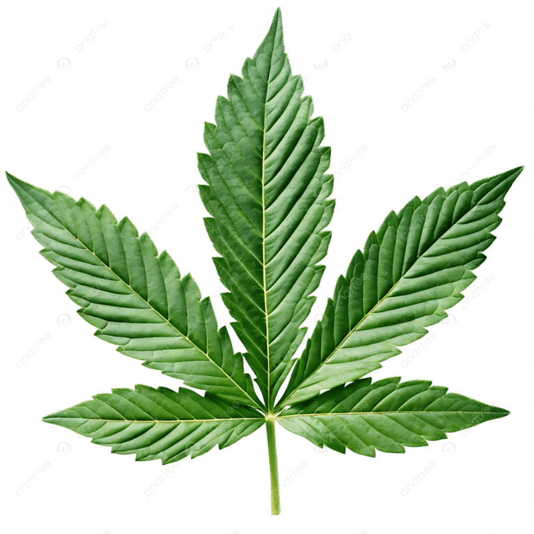 Are Synthetic Cannabinoids Legal in Liechtenstein? Synthetic Cannabinoids vs Cannabis Explained are synthetic cannabinoids legal in Liechtenstein